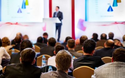 Divi Post Extended – a plugin that gives Divi posts an artistic Look