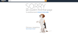 Amazon.com 404 page