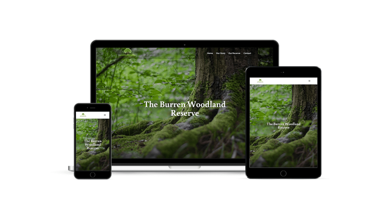 Burren Woodland Project