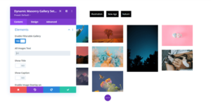 Image gallery in Divi with category filter