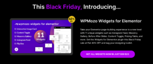 Introducing New Products at WPMozo