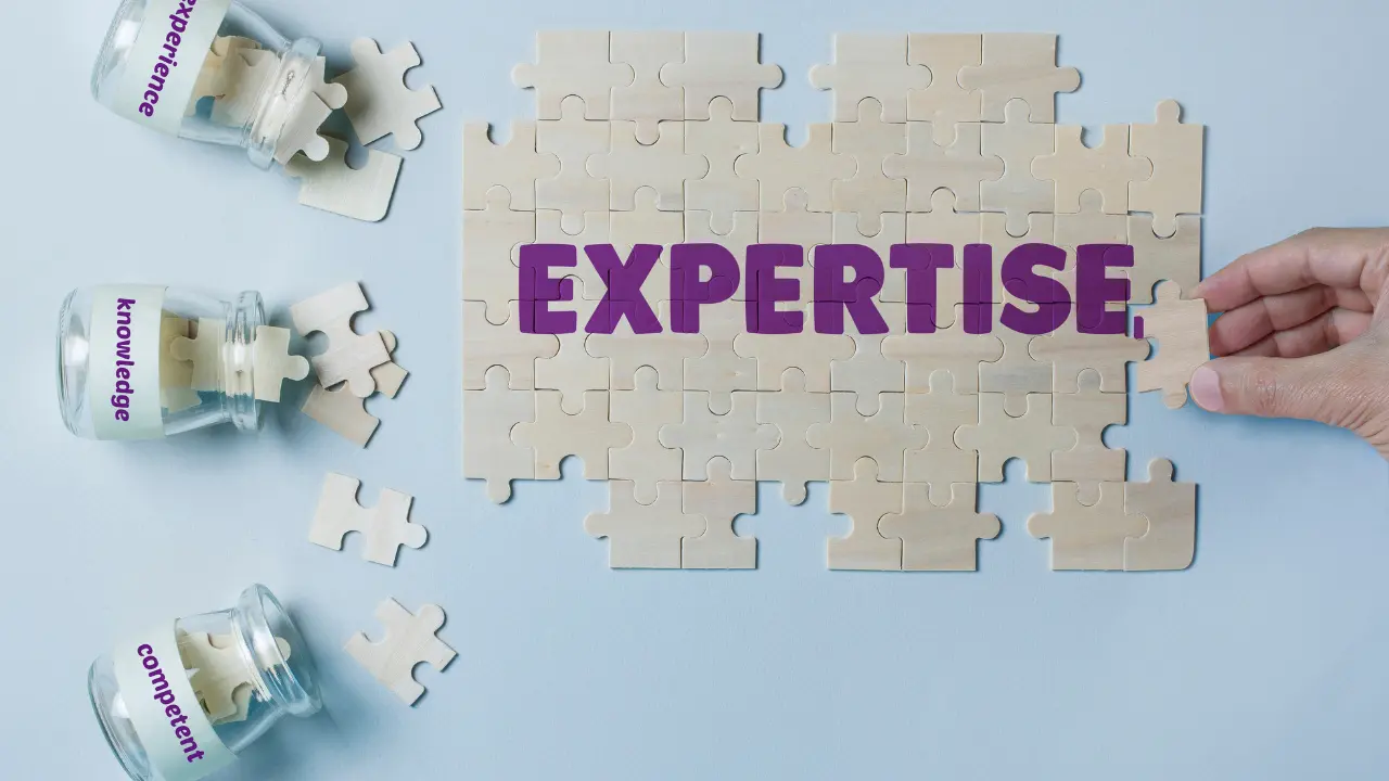 Custom WordPress developers are experts