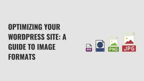 WebP, PNG, JPEG or SVG: Your Image Formats’ Guide for WordPress