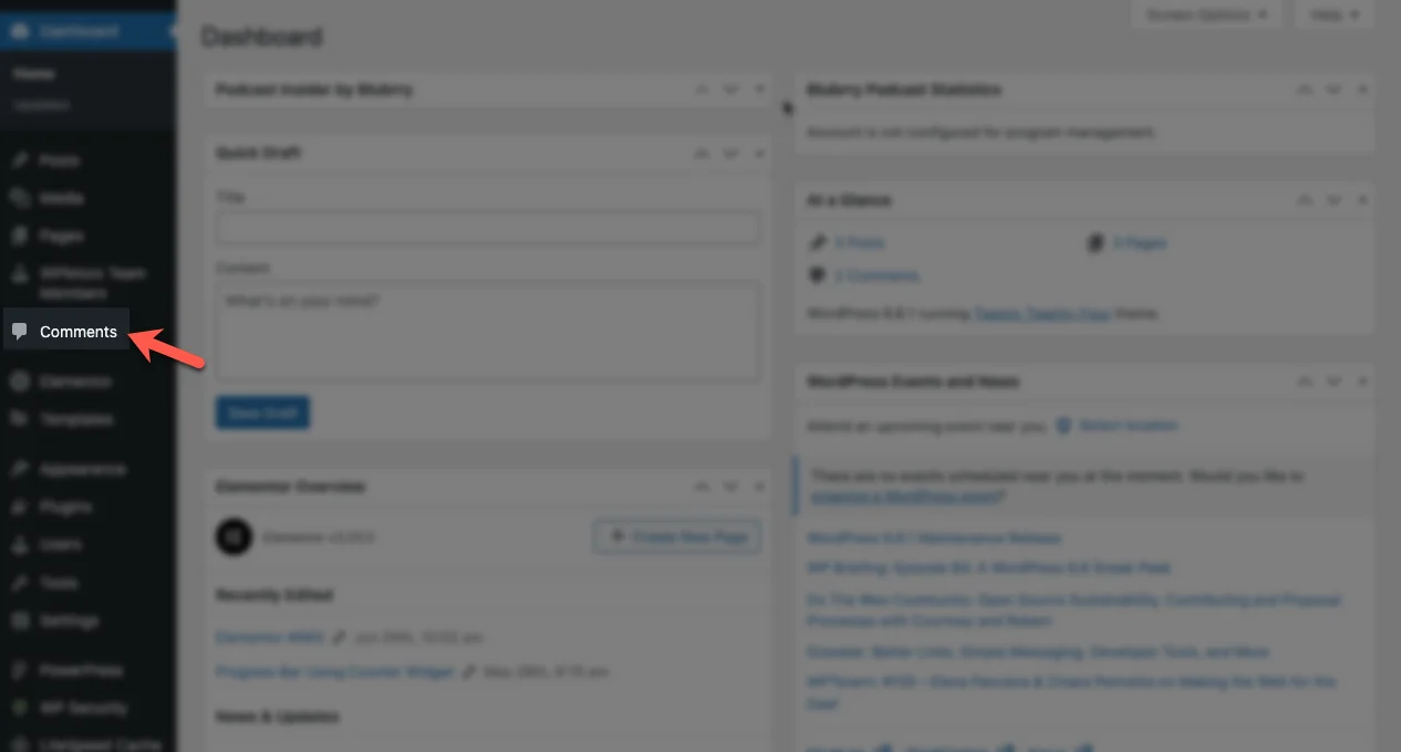 WordPress Comments option.