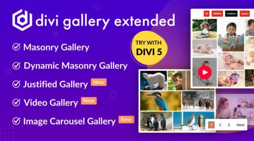Divi Gallery Extended
