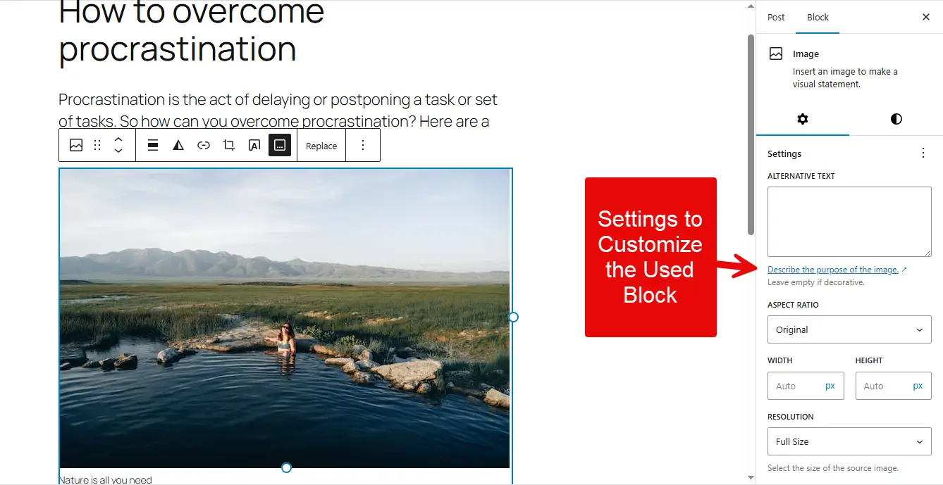 Settings in the Gutenberg editor to configure the block used.