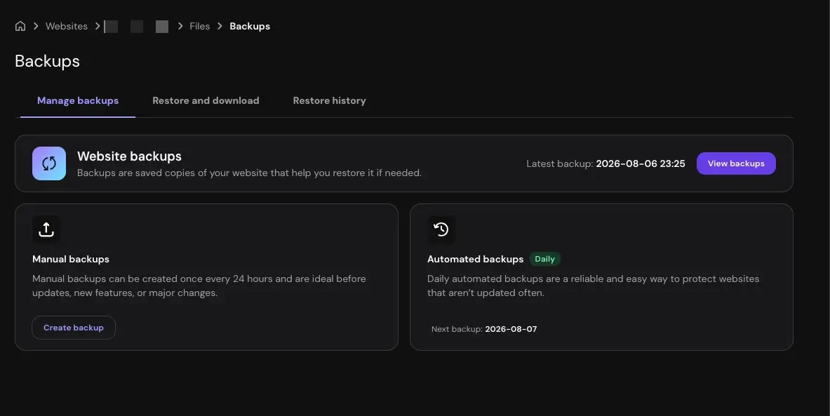 Backup options in a hosting cPanel.