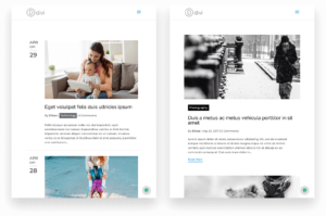 divi-blog-extras